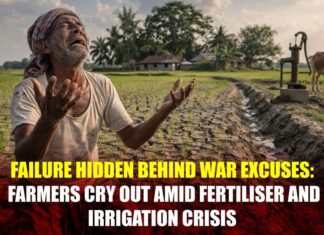 Failure Hidden Behind War Excuses: Farmers Cry Out Amid Fertiliser and Irrigation Crisis Failure Hidden Behind War Excuses: Farmers Cry Out Amid Fertiliser and Irrigation Crisis